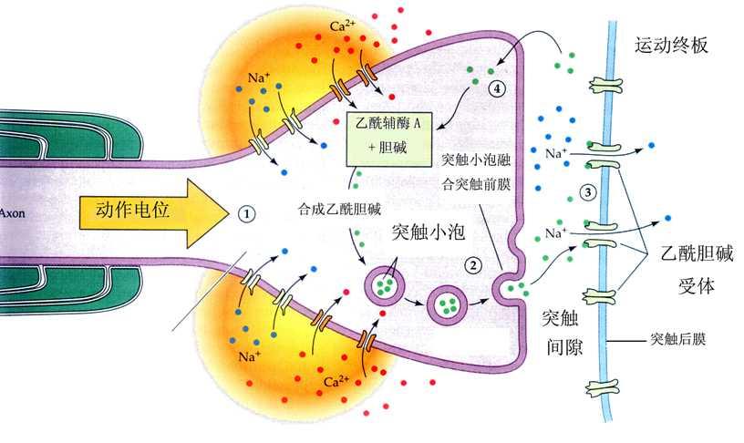全屏显示课程章节