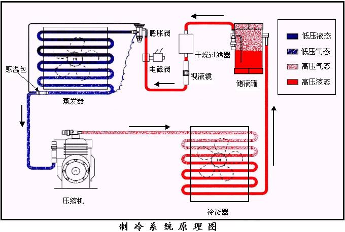 冷冻是什么原理_什么是扁平疣冷冻治疗