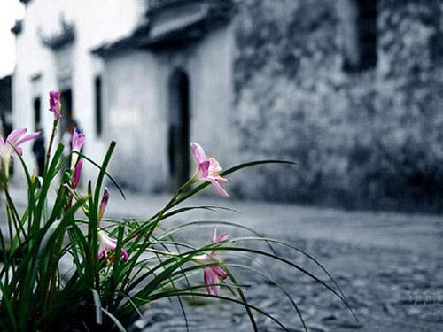 徽州朴学,博大精深,造福徽州子孙后代