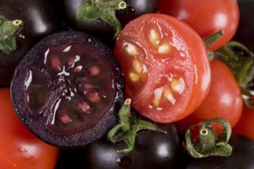 转基因植物_转基因植物经济收入(3)