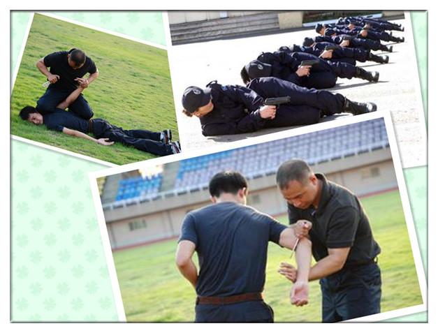 济南市莱芜区人民政府(图1)