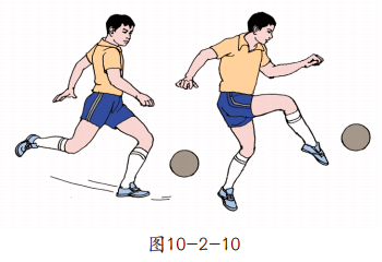 全屏显示课程章节