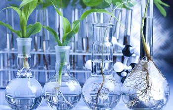 19世纪末的经济发展_33.经济危机对世界经济发展产生了巨大影响.主要国家都纷纷采取行动...(2)