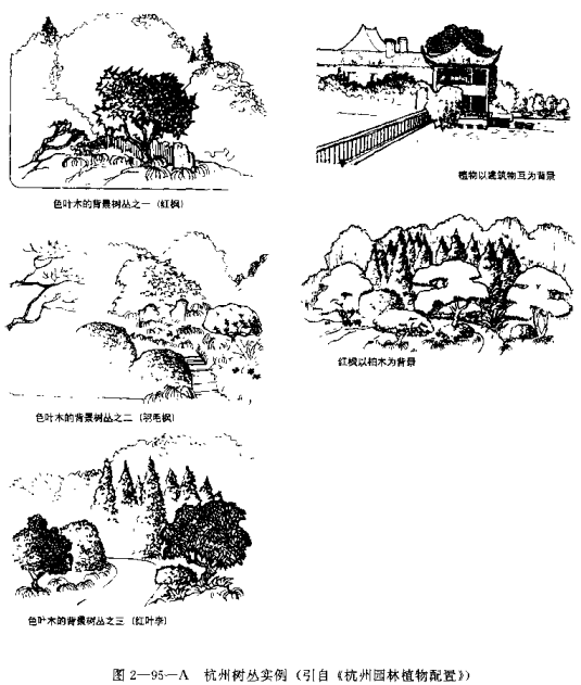 形容树老的成语是什么_这是什么成语看图(3)