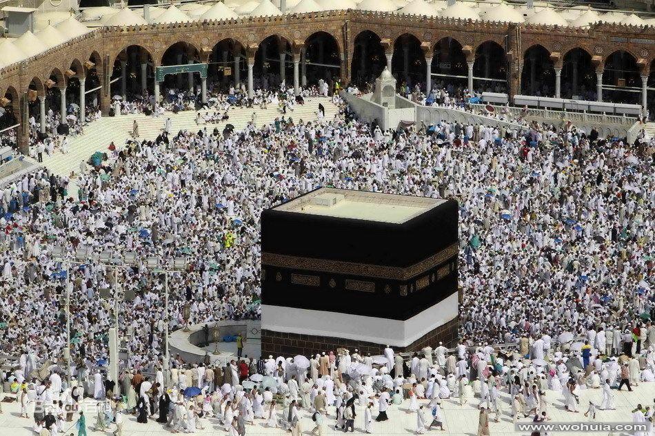 全屏显示课程章节