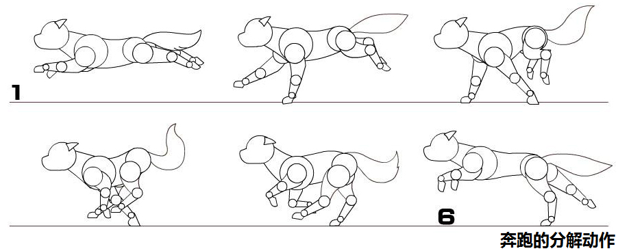 如下图以分解的方式描述了狗奔跑时的动作,和以分解的方式描述了人