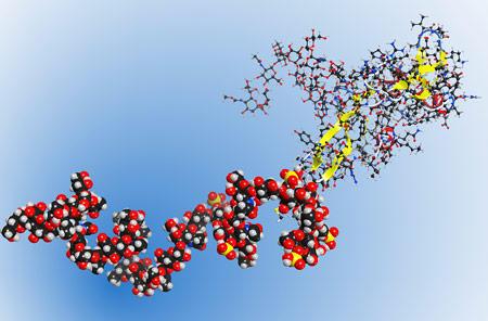 全屏显示课程章节