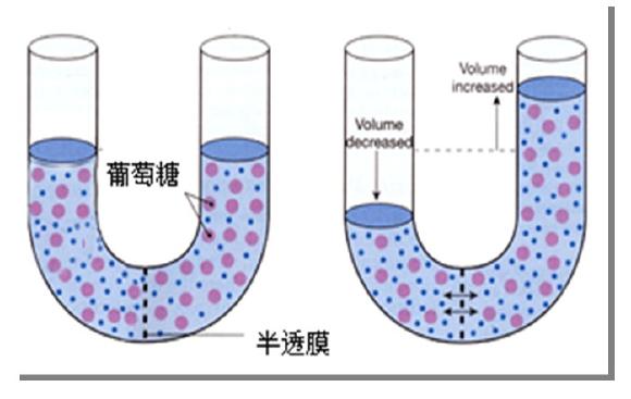 渗透压:指溶液中_对水的吸引力,其大小取决于