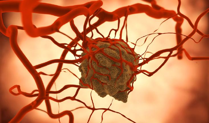 分子标志物在肿瘤流行病学研究中的应用