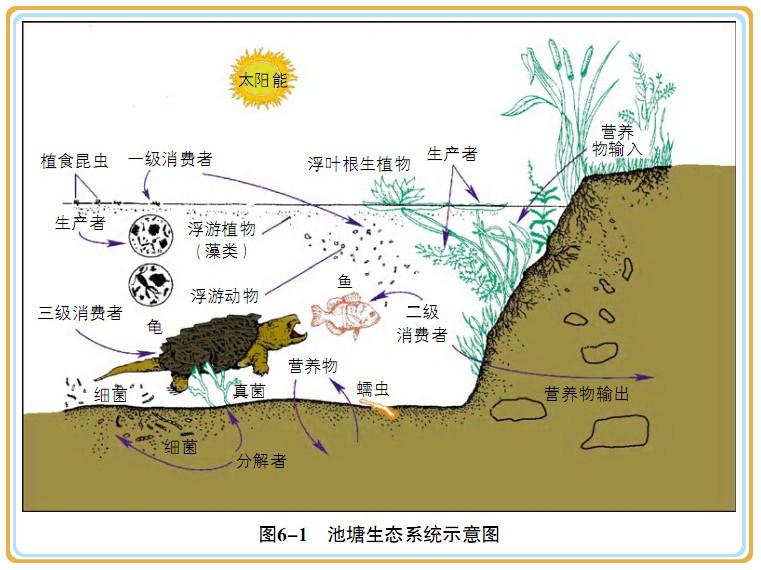 全屏显示课程章节