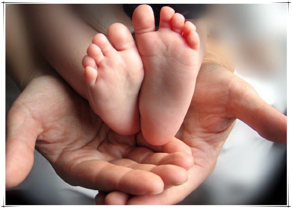 全屏显示课程章节