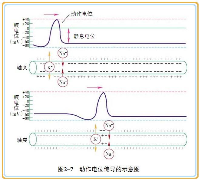 全屏显示课程章节