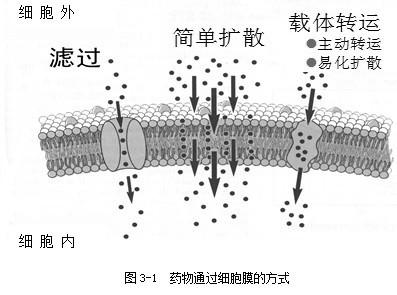 全屏显示课程章节