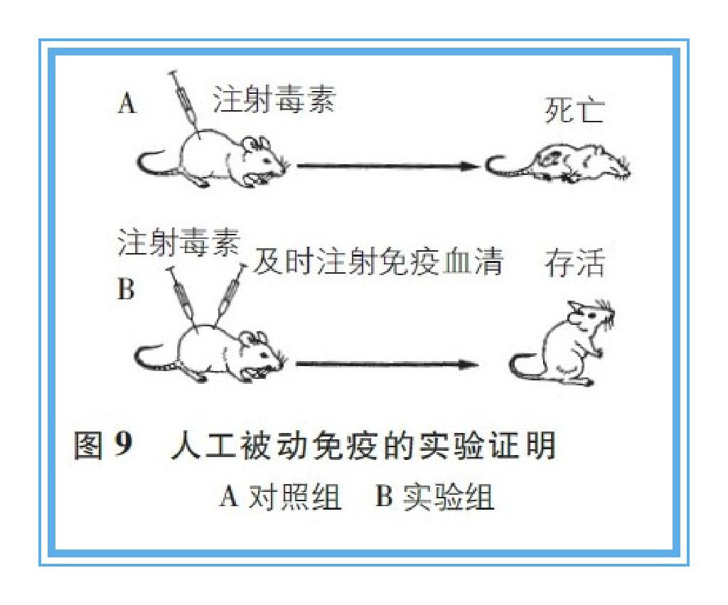 全屏显示课程章节