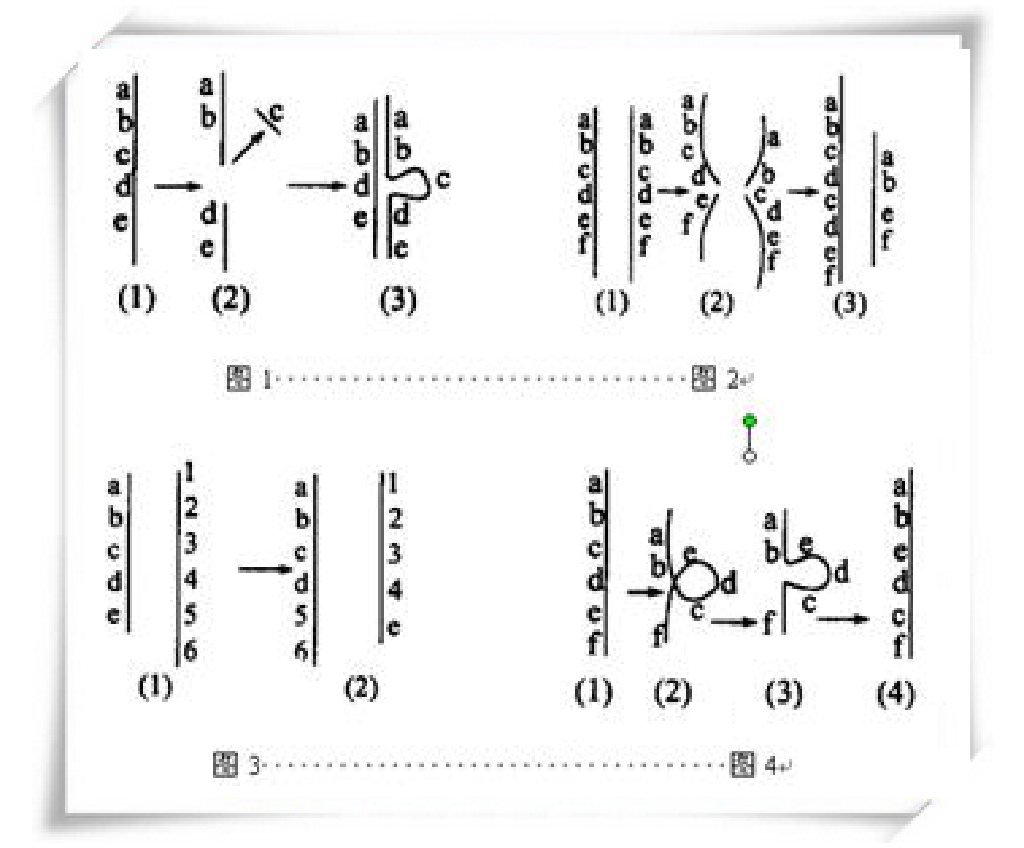 染色体畸变(染色体变异)