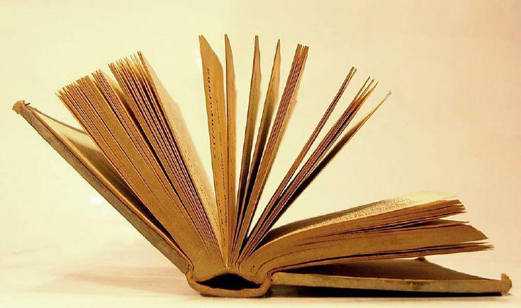 广西网络作家分会建立