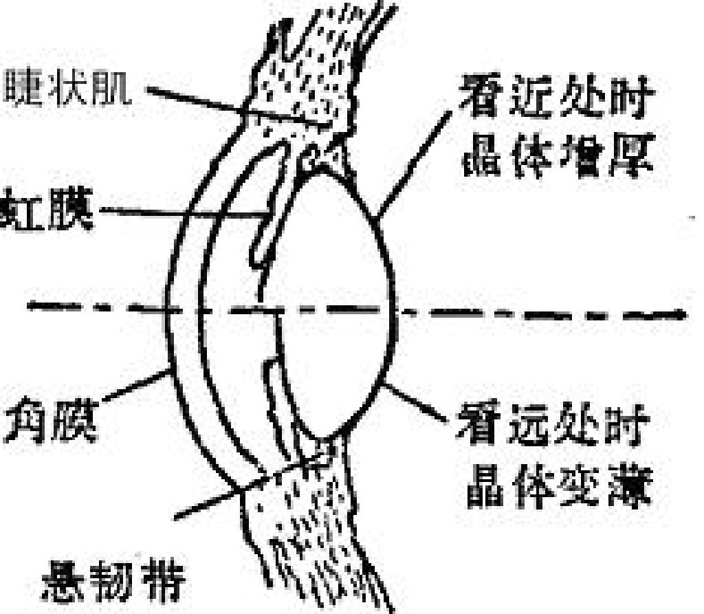 全屏显示课程章节