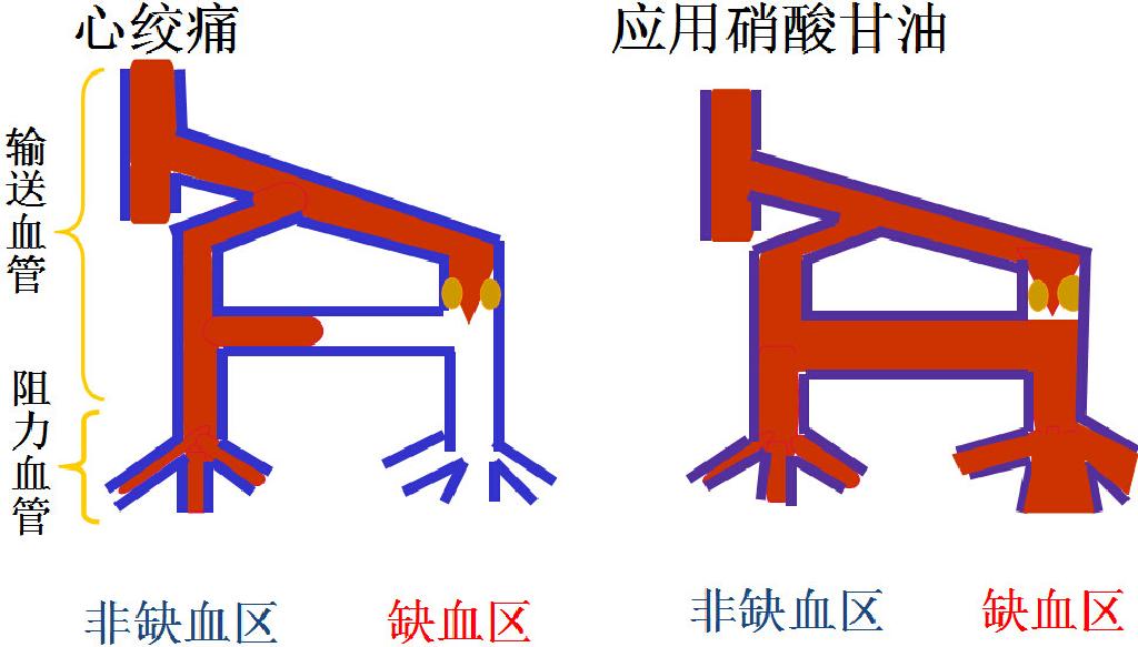 全屏显示课程章节