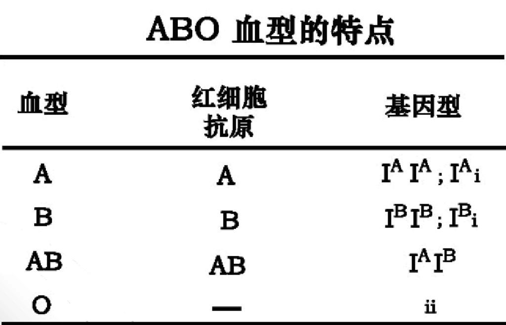 ab型基因型为: iaib.