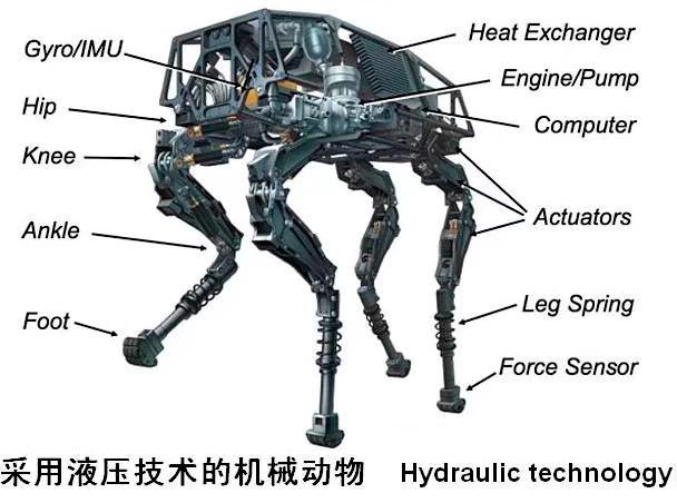 2020-07-13 145859738.jpg