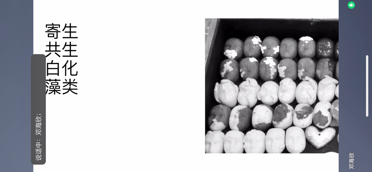 2020-04-21 101129000.png