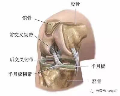 2020-04-21 125749256.jpg