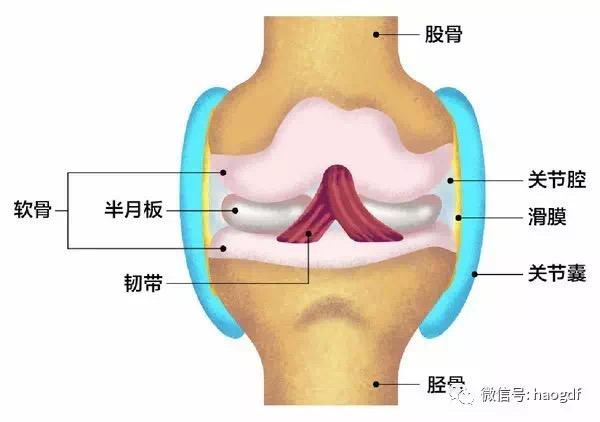 2020-04-23 121323947.jpg