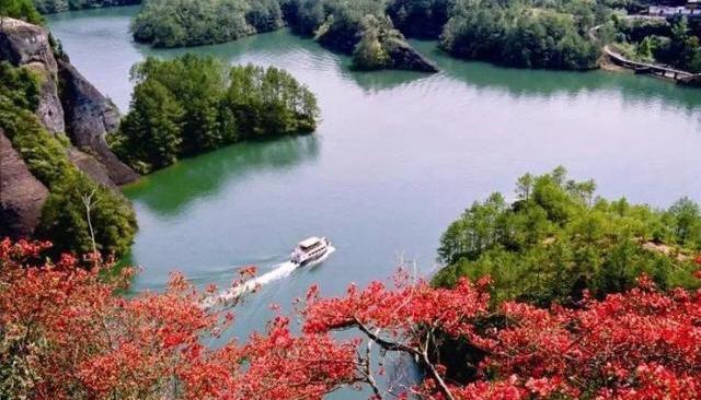 2021-01-13 194307304.jpg