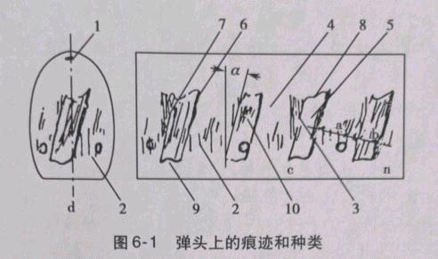 20220505171159620.jpg