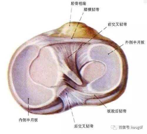 2020-04-21 125741600.jpg