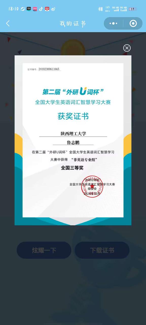 2024-11-15 214346543.jpg