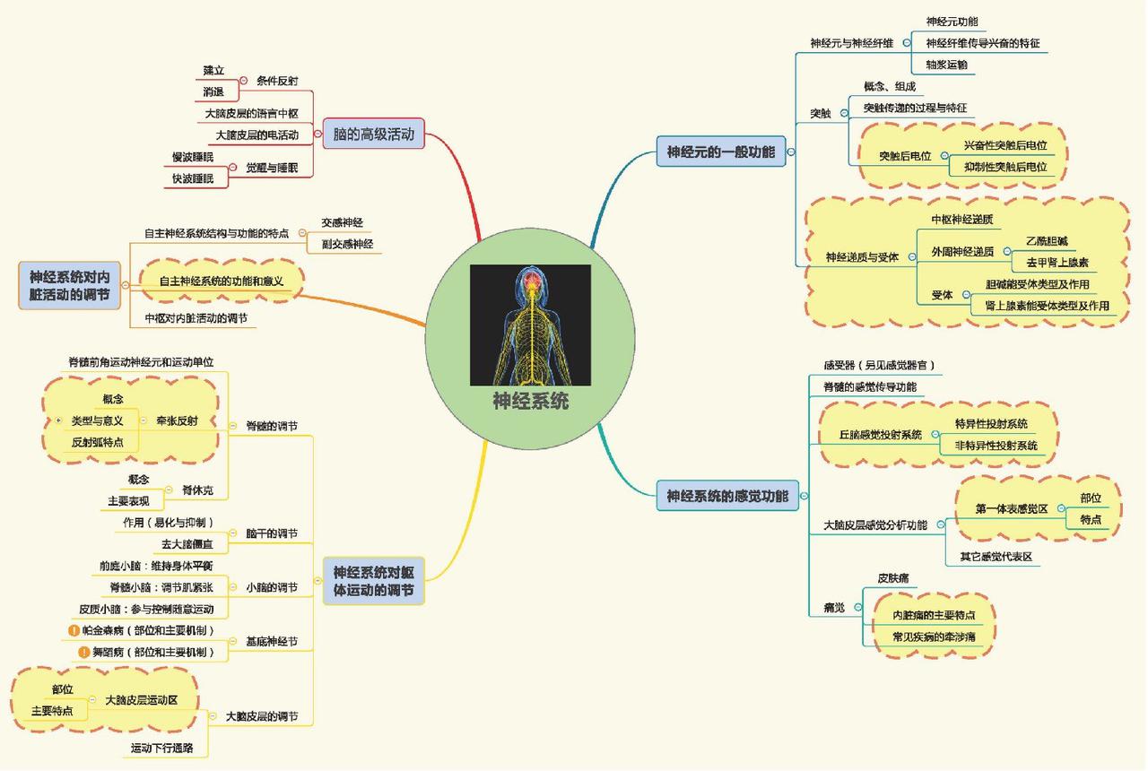 2025-02-21 174934281.jpg