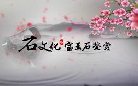 在全科診療過程中，一般情況下，重要臨床決策最終需要
