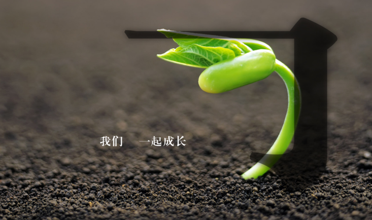 大学生安全教育(成长课)