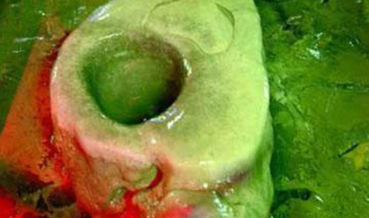 《滴水穿石的启示》