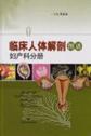 临床人体解剖图谱 妇产科分册 