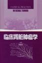 临床肾脏肿瘤学 