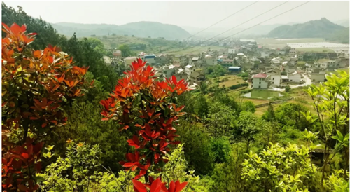 微信图片_20200424001430 微信图片_20200424001430.png