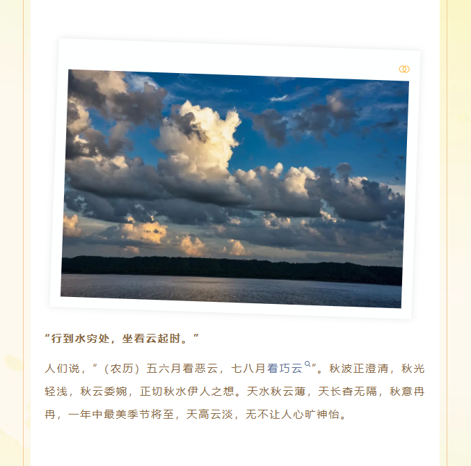 image.png?v=1757830624148