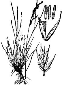 pagenumber_ebook=248,pagenumber_book=248