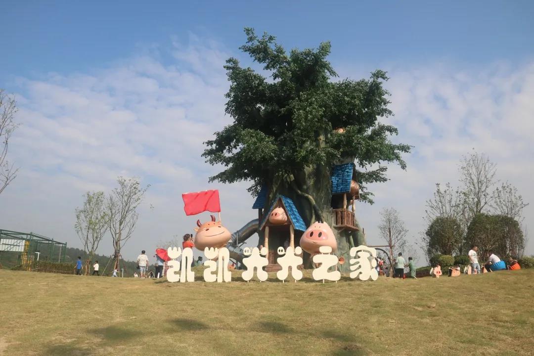 微信图片_20201108120758.jpg