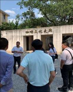 image.png?v=1762090422470