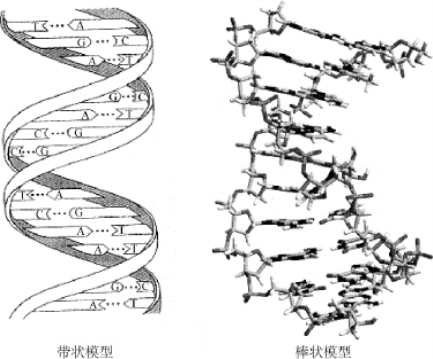 pagenumber_ebook=203,pagenumber_book=190