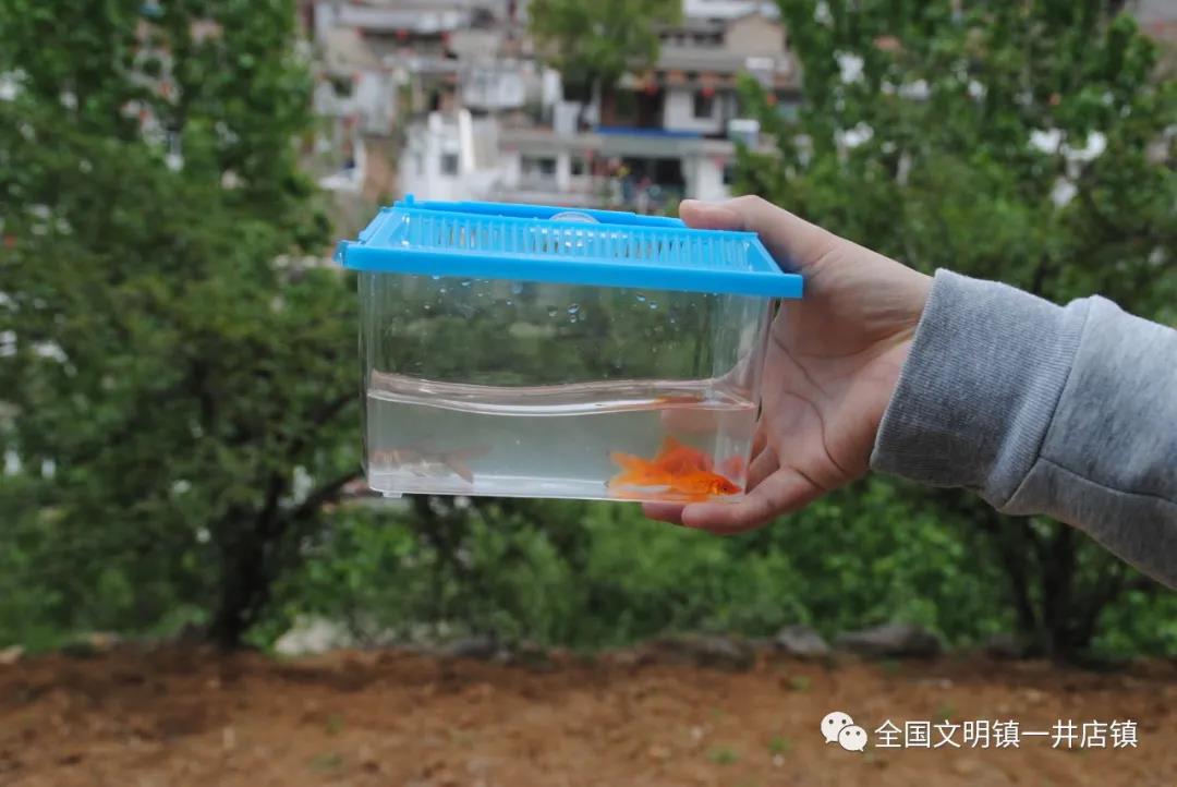 微信图片_20210507100243