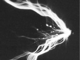 pagenumber_ebook=191,pagenumber_book=181