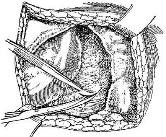 pagenumber_ebook=506,pagenumber_book=491