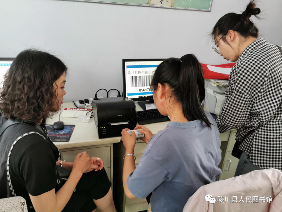 15 15.png?v=1762227439803