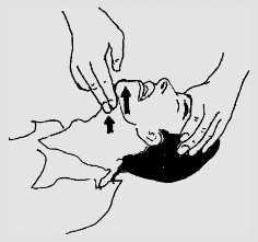 pagenumber_ebook=50,pagenumber_book=37