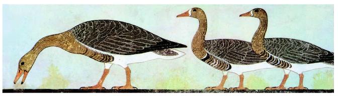 pagenumber_ebook=55,pagenumber_book=55