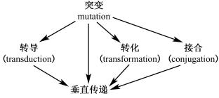 width=272,height=123,dpi=110